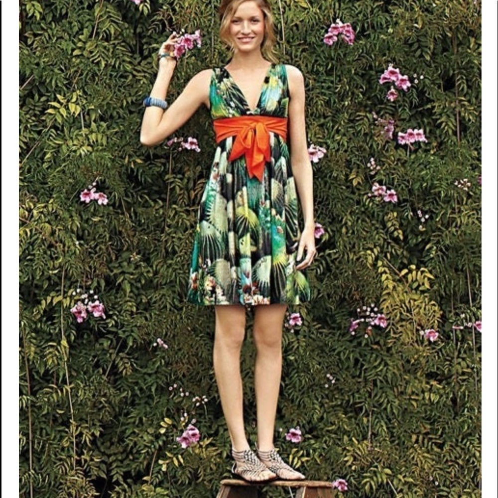 Anthropologie Eva Franco Orya dress. XS